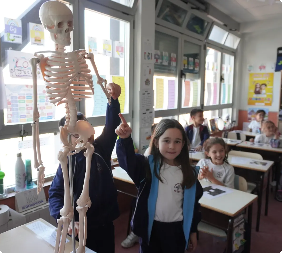 Etapa -Educacion Primaria 3