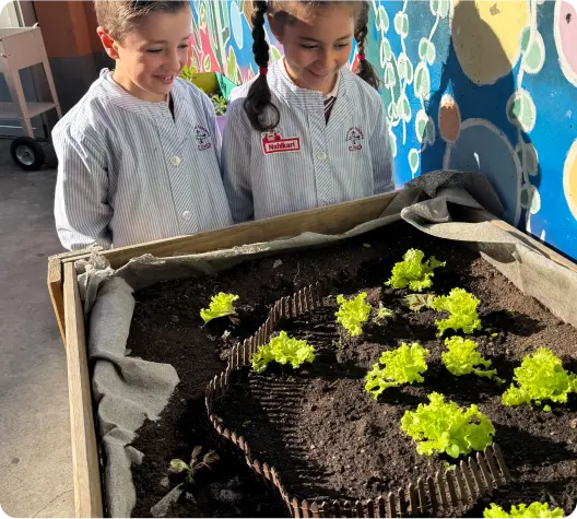 Instalaciones - Huerto Escolar